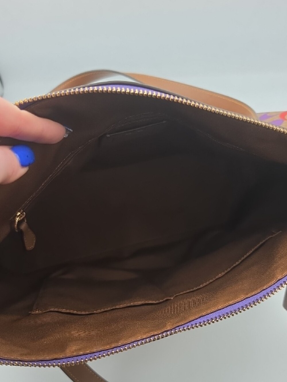 Coach Pride Brown Rainbow Signature Mono Large Limited Edition Tote (EUC)✨️🌈✨️ - Picture 9 of 13
